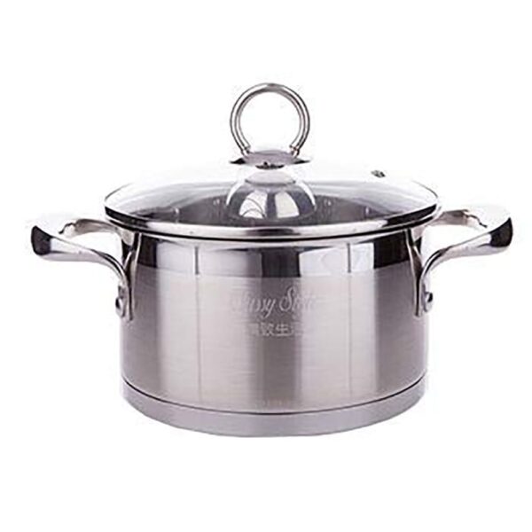 longrich energy pot small 18cm