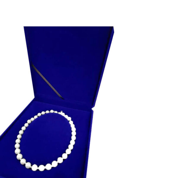 longrich women necklace